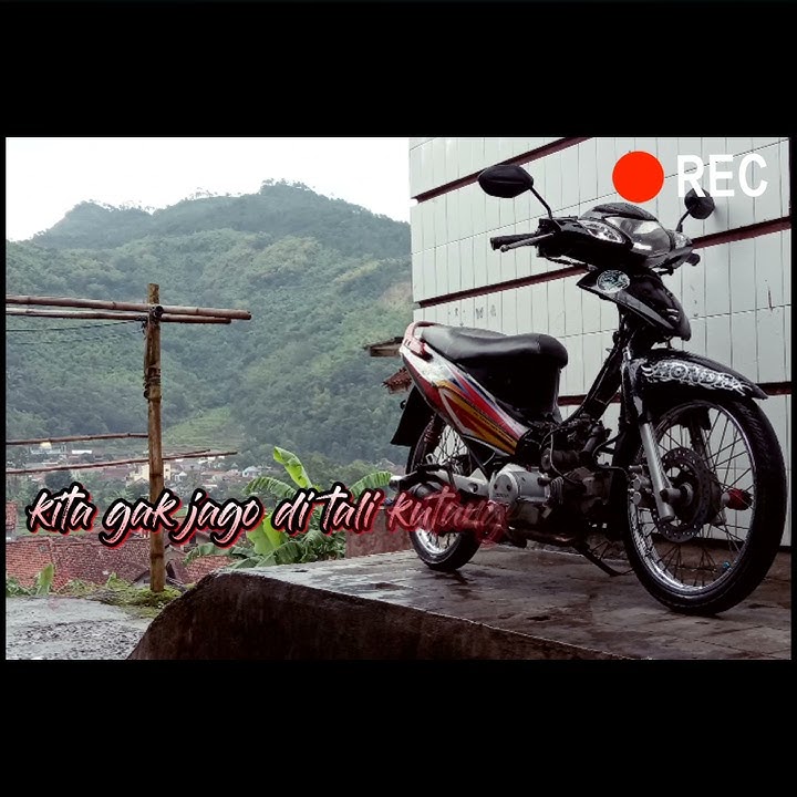 Status wa anak karisma