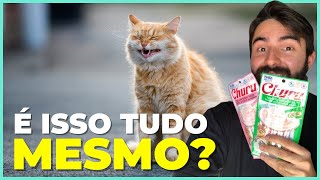 O Patê Churu Para Gatos é Bom?