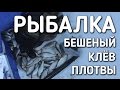 РЫБАЛКА 2017 / БЕШЕНЫЙ КЛЕВ ПЛОТВЫ НА ЧЕРВЯ