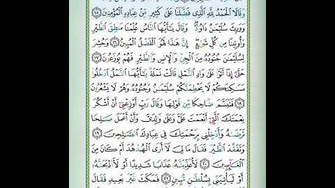 سورة النمل الاية من 13/17