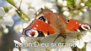 Video thumbnail of "Dieu tout puissant - Olivier Cheuwa"