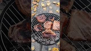 шашлыки Австрия #австрия