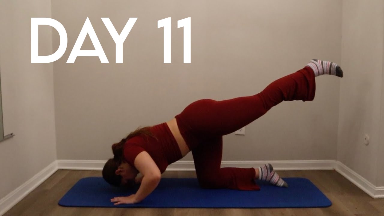 Day #11 Arms - 2 Week Workout Challenge At Home No Equipment - YouTube