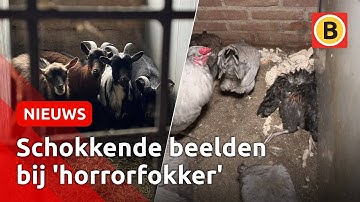 Is dit het EINDE voor de 