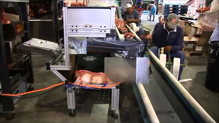 Single Belt Static Checkweigher 3