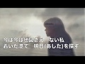 [新曲]   海峡迷子/中西りえ cover Keizo