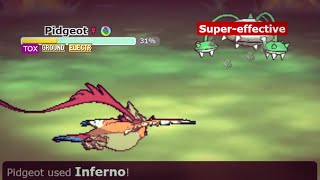 A Very Normal Mega Pidgeot