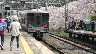 JR阪和線【R】山中渓【JR-R50】駅　2024年度桜　発着＆低速通過＆高速通過集