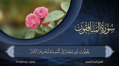 سورة  المنافقون  مكتوبة للشيخ أحمد النفيس / المصحف المرتل كاملا