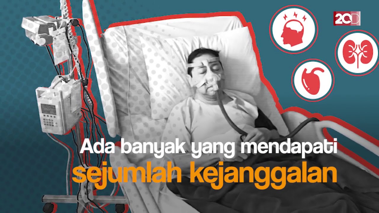 Heboh Panda Lucu Sampai Kebijakan Warna Plat Nomor Cerah YouTube