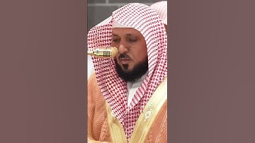 سورة الحجرات | الشيخ #ماهر_المعيقلي