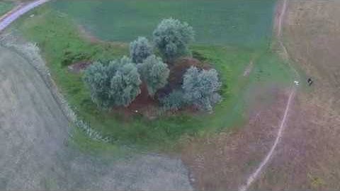 Around the Puddle - Dji Phantom 3 SE - Litchi Waypoints/POI/Curves Test