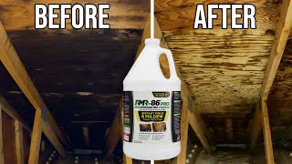 RMR86 PRO  How to get rid of MOLD stains!