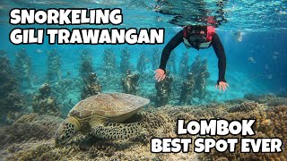 SNORKELING GILI TRAWANGAN LOMBOK ! BEST SPOT SNORKELING !