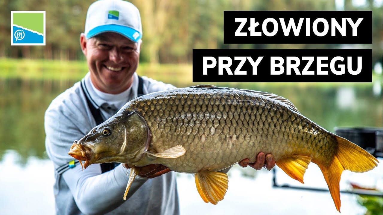 Jak łowić NAJWIĘKSZE KARPIE w łowisku | Adam Niemiec