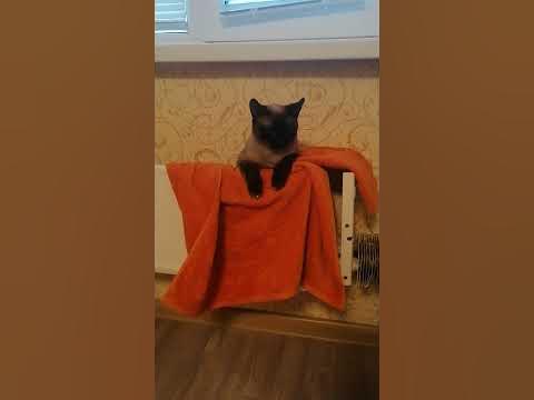 облина - YouTube