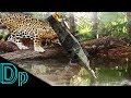 Spotted "RARE" Leopard 2A5 - War Thunder   Gameplay