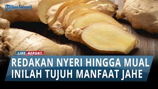 SERBA BISA!!! Ini Manfaat Jahe Bagi Kesehatan, Dapat Menyembuhkan Nyeri Haid hingga Meredakan Mual