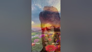 احمد ظاهر: ز جان من چه میخواهی،تو رفتی بی تو من مردم...