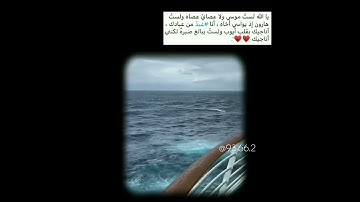 سورة الحج ،أية {77}✨.
