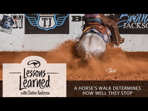 Lessons Learned: A Horse's Walk Determines How Well They Stop