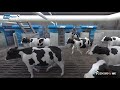 Gemini up  max our robotic solution for large herds