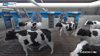GEMINI UP - MAX: Our robotic solution for large herds