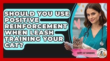 Should You Use Positive Reinforcement When Leash Training Your Cat? - Happy Cat Handbook