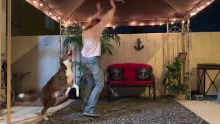 BTS Dynamite Dog Dance