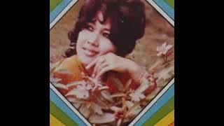 Jumpa Semalam - Elvy Sukaesih, OM Anari pimp Sulaeman