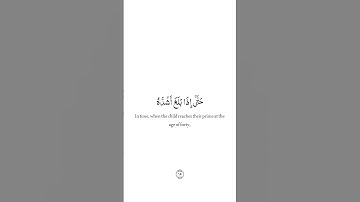 أذكر الله | سورة الأحقاف #اكسبلور #المصحف #الرحمن #لايك #القزابري