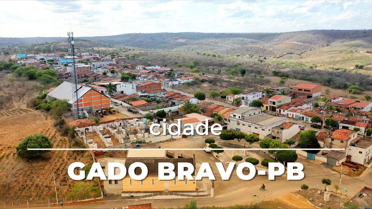Gado Bravo Paraíba fonte: i.ytimg.com Fonte: i.ytimg.com