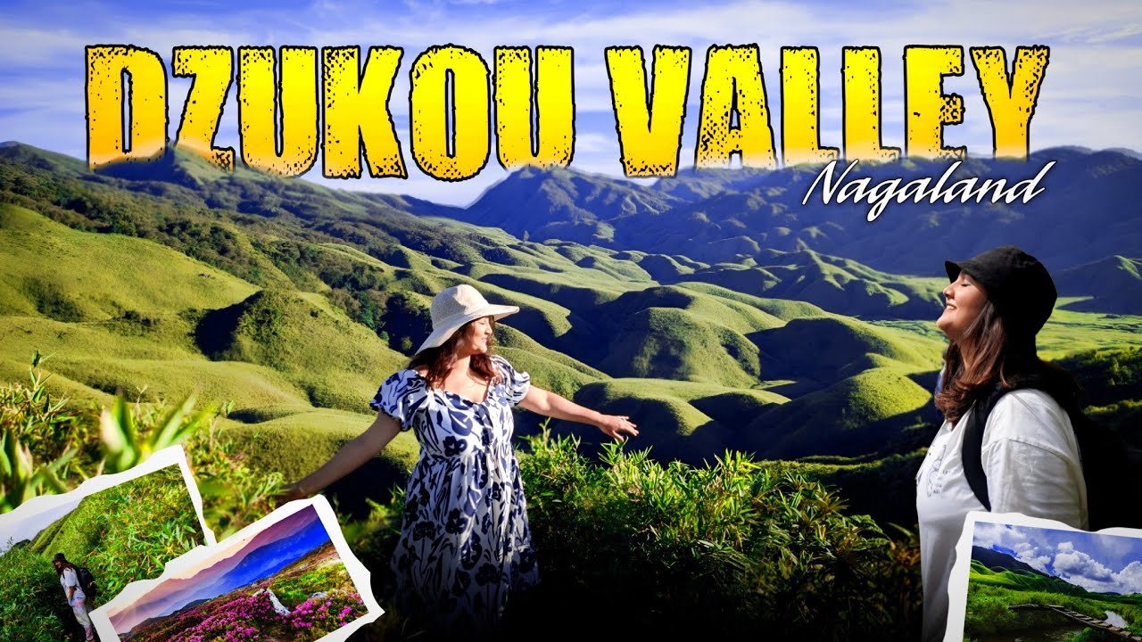DZUKOU VALLEY II NAGALAND #nagaland #dzukouvalley #travel #dimpubaruah #guwahati #tracking #garo