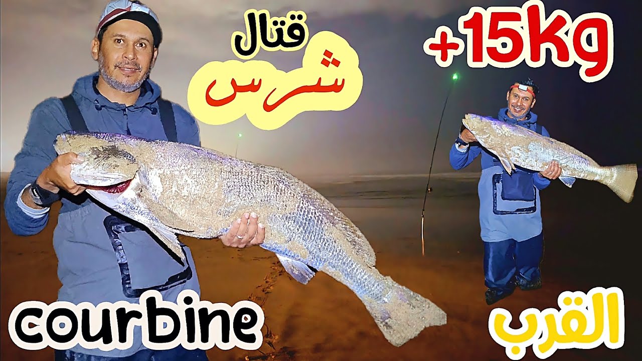 رقم قياسي جديد لرايس دريس مع سمكة الكوربين 🎣 صراع و تقواس اللهم بارك، اكتشف المونطاج.