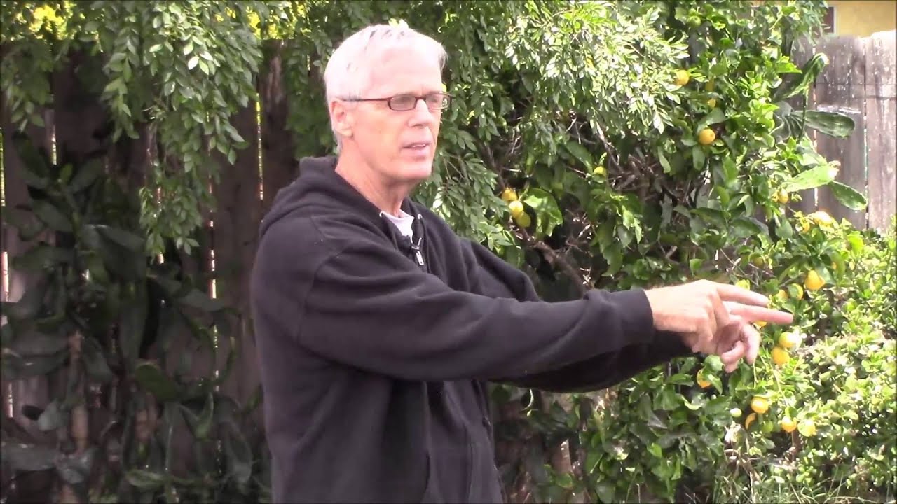 My Landscaping Design Decisions For Selling This Property Fast Without Over Improving It