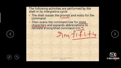 The Shell and wild cards with execution in Termux
