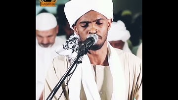 الشيخ يوسف ابو البشر ،،ايت من السورة القصص