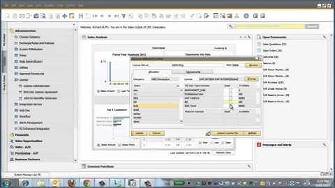 How to re-allocate user licenses in SAP Business One