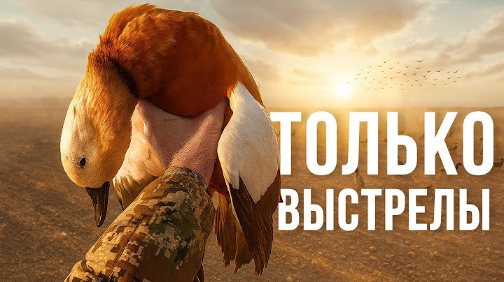 ОХОТА НА УТКУ! ТОЛЬКО ЛУЧШИЕ ВЫСТРЕЛЫ ЭТОГО СЕЗОНА!