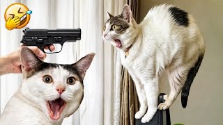 Try Not To Laugh Challenge😻Funny and Cute CAT Videos Compilation 2024😬🐶Part 12