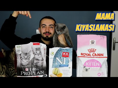 KEDİ MAMASI KARŞILAŞTIRMASI (Royal Canin, ProPlan, ND Kıyaslama)