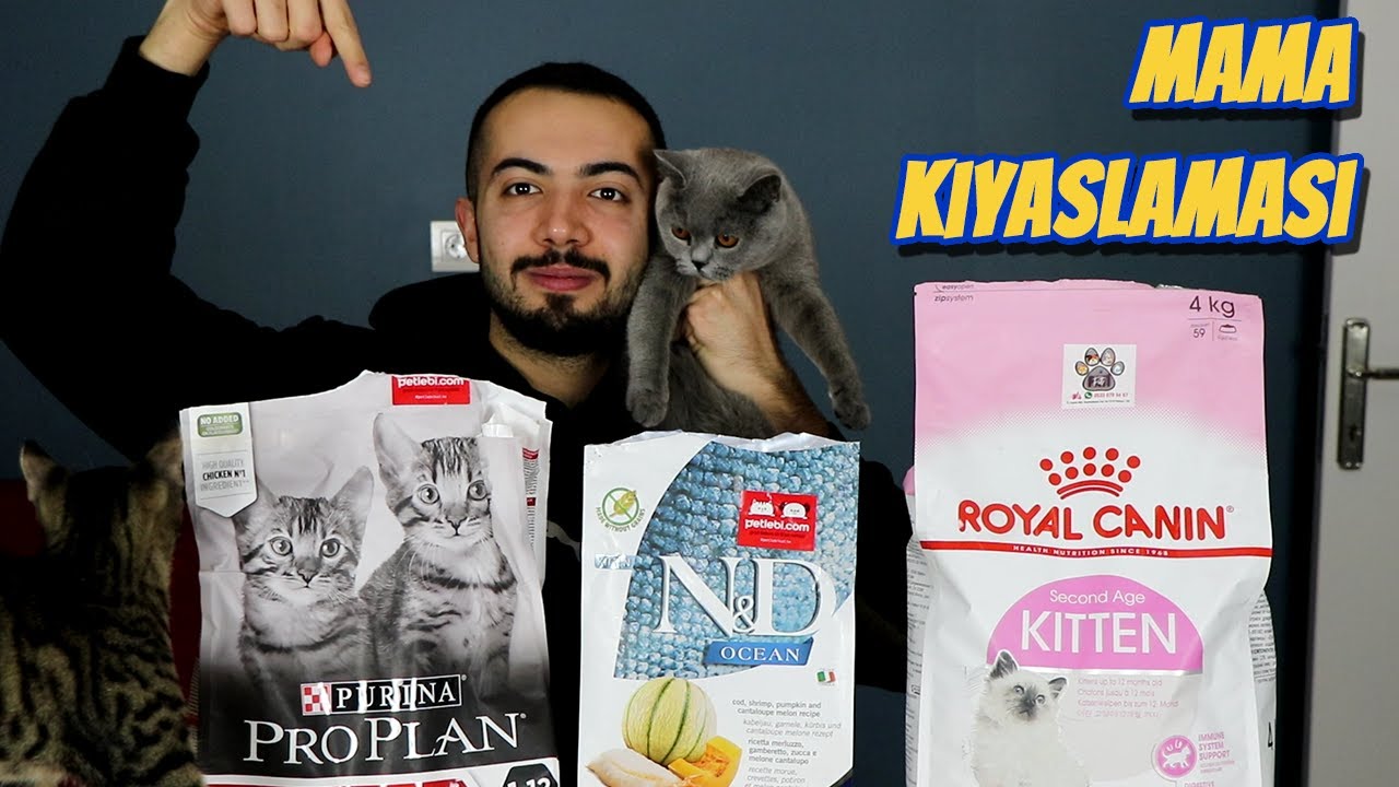 Kedi Mamasi Karsilastirmasi Royal Canin Proplan Nd Kiyaslama Youtube