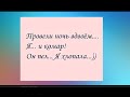 Провели НОЧЬ вдвоём.... Я ... и комар! Он пел... Я хлопала!. Женский юмор на каждый день.