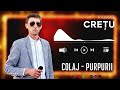 Nicolae Crețu COLAJ PURPURII Melodie De Petrecere Moldoveneasca