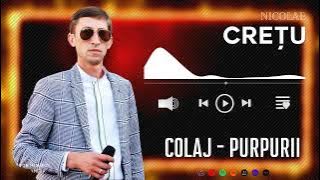 Nicolae Crețu - COLAJ - PURPURII 🎹🎼 Melodie de Petrecere Moldoveneasca