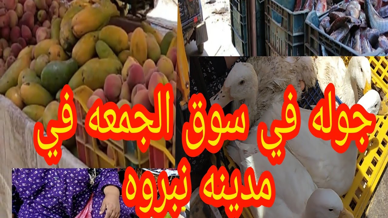 جوله فى سوق الجمعه فى مدينه نبروه 😍🍉🌶️🍑🍊🦃🐧🐥🐓🦆🐔🐡