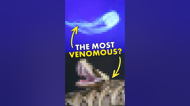 What’s ACTUALLY the most venomous animal?
