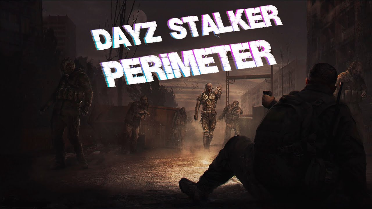 PERIMETER ┃ STALKER RP ┃DayZ RP - YouTube