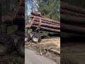 komatsu 855 nur volle wägen sind fuhren