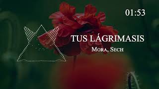 Mora, Sech - TUS LÁGRIMAS (Visualizer) _ MICRODOSIS